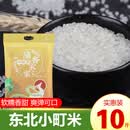 蒲香农家 农家现磨现发东北大米珍珠米5斤圆粒10斤/20斤当季新米 【爆】黄东北小町米10斤