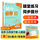 2025版初中必刷题 化学九年级下册 人教版 初三教材同步练习题教辅书 理想树图书