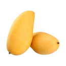 纸核芒1kg