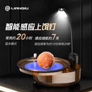 连球钓鱼感应超亮红蓝白三光源驱蚊上饵灯usb充电饵盘可夹照明夜钓灯 新款智能感应上饵灯【黑色】