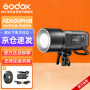 神牛AD600pro II二代外拍灯高速同步闪光灯自动测光频闪高速连拍户外600W大功率摄影灯【官方标配】