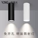 一极喜光（YIJIXIGUANG）明装led筒灯COB明装射灯 北欧吸顶式背景墙灯展厅创意酒吧台灯具 白色20W (高30*径9.8cm) 暖白光(3000k)
