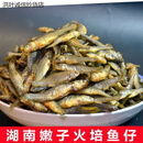 乐佳萱嫩子鱼湘味小火焙干鱼仔干麦穗河水淡水下饭菜农家干货湖南土特产 火焙鱼(2至4厘米小号鱼)半斤