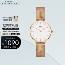 丹尼尔惠灵顿（DanielWellington）DW手表女 简约欧美表钢带石英女士手表生日礼物送女友DW00100219