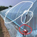 蔬菜温室大棚骨架全套鸡棚羊棚牛棚半坡式大棚 镀锌钢管圆管 6米宽10米长高配送膜送卷膜机