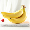 高山香蕉 香甜香蕉banana 当季新鲜水果芭蕉 生果 3斤 （收到需催熟食用）
