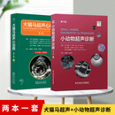 套装两本 小动物超声诊断 第4版 犬猫马超声心动图 第2版 小动物超声 心脏超声 犬猫心脏超声心动图