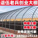 君吻种植养殖大棚骨架养鸡牛羊养殖大棚椭圆管热浸锌水产连栋大棚 8米宽25米长标配版含黑白膜