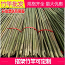 诺化小竹子细竹竿子种菜豆角黄瓜菜园搭架爬藤支架旗杆竹杆子 2厘米粗2米长30根