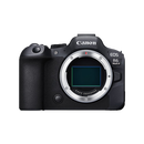 【99成新】佳能（Canon）EOS R6 Mark II 新标准全画幅微单数码相机R6二代 单机身 （约40张每秒连拍/6K超采样4K短片）