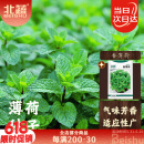 北蔬 薄荷种子种苗四季播种盆栽可食用香草种籽 卓脆香薄荷种子1000粒
