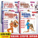训练狗狗一本就够了狗狗游戏幼犬训练狗狗技能训练全4册 养狗书籍