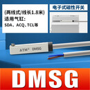 气缸磁性开关感应器CS1-U/J/F/G/DMSG二三线接近传感器D-M9B/A93 DMSG-2W 两线式