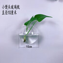 丛一楼墙壁花盆创意墙上挂壁挂墙花盆绿萝墙壁挂件悬挂式水培玻璃花瓶墙 小馒头+配件(不含植物) 透明