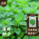 北蔬 薄荷种子种苗四季播种盆栽可食用香草种籽 卓脆香薄荷种子1000粒