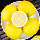黄柠檬现摘新鲜时令生鲜水果酸爽皮薄多汁优质精选鲜柠檬泡茶切片 安岳黄柠檬（尝鲜mini果）＜80g 2斤