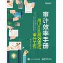 审计效率手册：用Excel高效完成审计工作