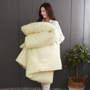 蚕丝被桑蚕丝被子冬天加厚保暖单人双人宿舍被芯春秋被子 蚕丝被黄 200*2308斤双人被子