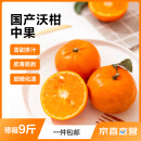 【已售600万斤】国产沃柑  生鲜水果新鲜柑橘甜桔子 花斑果 带箱9斤中大果60mm-65mm