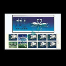 SB 中国小本票系列收藏  之一 按需进行选择 邮局全品F