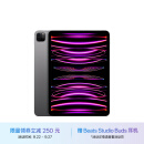 Apple【教育优惠】iPad Pro 11英寸 2022款(128G WLAN版/M2芯片/学习办公娱乐游戏//MNXD3CH/A) 深空灰色