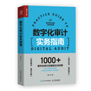 数字化审计实务指南（人邮普华出品）