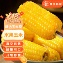 富美鹤城水果玉米甜玉米棒10穗*220g左右真空包装即食新鲜蔬菜源头直发