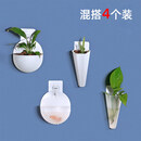丛一楼北欧壁挂花盆迷你水培家用绿萝小花盆简约创意塑料悬挂墙面装饰 混搭4个装 小