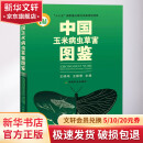 中国玉米病虫草害图鉴