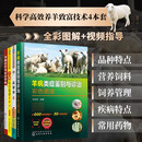 科学养羊4件套 羊病诊疗与手册+羊病综合防治大全+羊病类症鉴别与