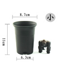 新款笔筒万象花盆塑料花盆磨砂加厚十二卷多肉透气不烂根 笔筒万象黑色小号