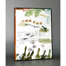 上海美术经典动画片 小蝌蚪找妈妈 DVD光盘 上海美术电影制片厂