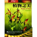 植物之美