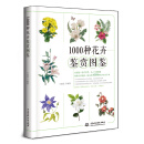 1000种花卉鉴赏图鉴 植物专家王意成教你一眼分辨1000种花朵