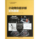 世界兽医经典著作译丛：小动物B超诊断彩色图谱
