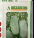 乾域博洋73甜瓜种子羊角蜜香瓜酥瓜脆甜红瓤干瓤四季蔬菜水果种籽 博洋7201甜瓜种子500粒