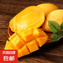 海南小台农芒果 热带当季新鲜水果整箱 小台农芒果3斤单果80g+