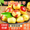 陕西大荔冬枣新鲜大枣特大脆甜冬枣青枣 应当季新鲜水果孕妇水果 【活动合单发货】带箱1斤 12-16g