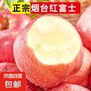 正宗烟台苹果栖霞红富士脆甜新鲜水果整箱生鲜苹果水果 净重4.5斤75mm