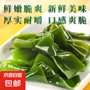 大连 鲜海带 盐渍海带结 海带扣片火锅食材凉拌海洋蔬菜 盐渍海带结250g