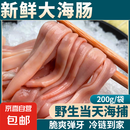 新鲜厚皮海肠 鲜活速冻沙虫海捕海肠皮海肠捞饭海鲜水产商用1000g 2袋厚皮海肠【400g】