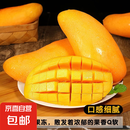 海南三亚新鲜水果 金煌芒果应当季生鲜 带箱1斤 中大果【单果140g+】