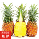 海南金钻凤梨 新鲜水果手撕凤梨孕妇水果 果园直发整箱包邮非菠萝 【尝鲜】1粒装凤梨 单果500g起