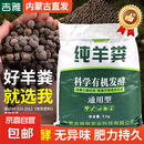 内蒙古羊粪发酵有机肥纯羊粪营养土种菜养花土壤通用型蔬菜肥料 大草原高品质颗粒肥 20斤发酵纯羊粪【内蒙直发】