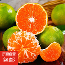 云南新鲜青皮蜜橘超酸介意勿拍新鲜采摘整箱包邮 蜜桔净重5斤装