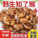 【自营】2025新鲜金蝉野生知了猴鲜活速冻爬叉猴冷冻唐僧肉 2斤装（180-200个） 金蝉/知了猴