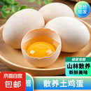 工厂-鲜鸡蛋土鸡蛋现捡现发40g正负5g/枚纸箱装生鲜京东买菜生鲜 10枚
