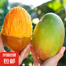 【新鲜上市】正宗攀枝花凯特芒果新鲜水果 带箱2斤200g+