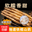 正宗铁棍山药垆土淮山药怀山药铁杆山药焦作温县粉糯香甜新鲜山药 铁棍山药5斤净重  40cm-60cm