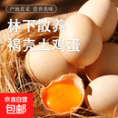 鲜鸡蛋农家谷物鸡蛋新鲜鸡蛋溏心蛋50g正负5g/枚早餐生鲜买菜 鲜鸡蛋30枚装